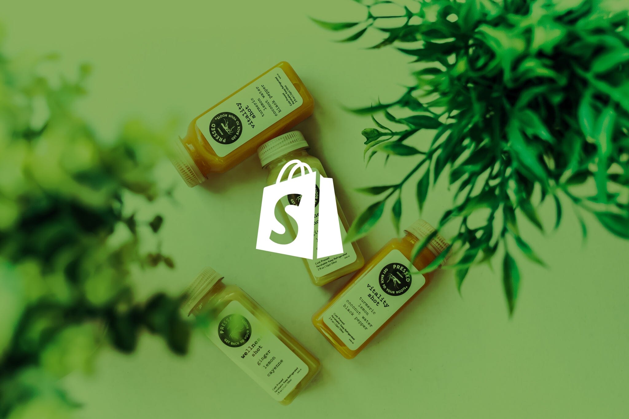 Why a Custom Shopify Theme is Key to Standing Out in a Crowded Market?